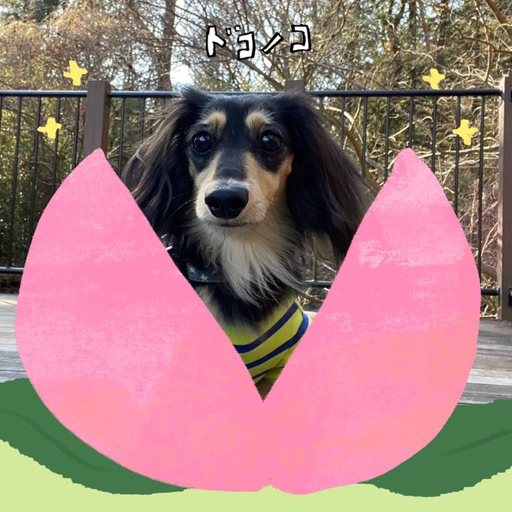 B24cecab cbdd 4697 8b98 273a5e95ce04 1771906095217