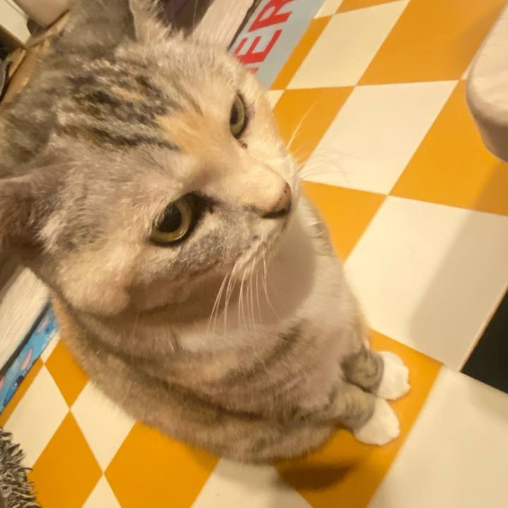 B24ceeae 67c0 4937 bdb8 bda5582f3110 1730976241697