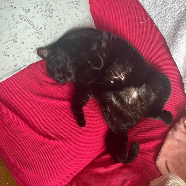 B24d3d55 c208 4f8e 9e19 cfa2294a0298 1736559695638