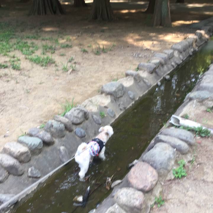 B24d76e3 da1f 47a5 a8f1 322d4797dcf3 1533441158740