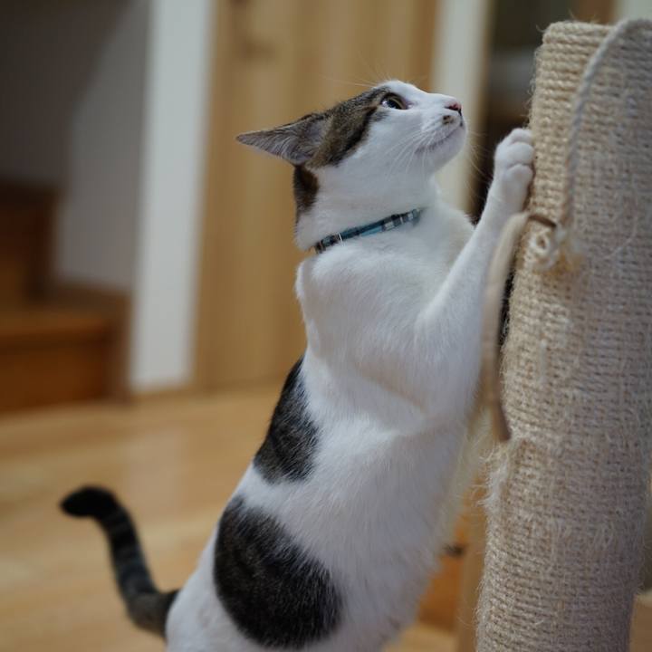 B24d7ee0 913c 4f30 b487 1cd26bda47f3 1548041534365