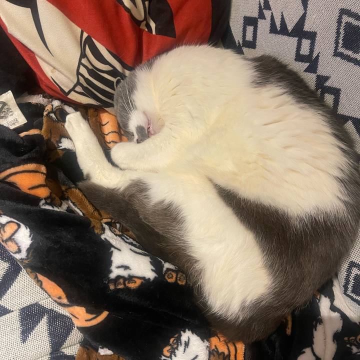 B24d98c3 1841 4703 9369 d9ed0a0bb7ae 1742556612180