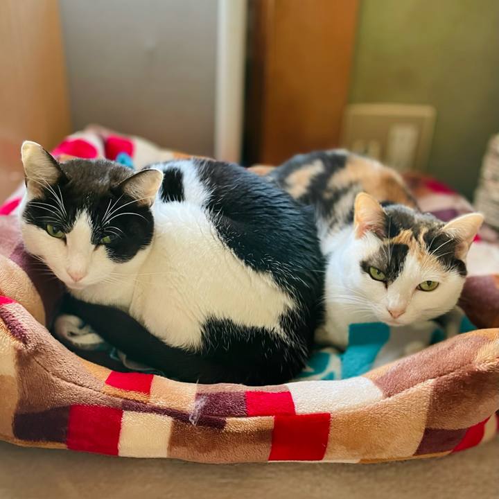 B24de7b5 cf12 4b69 951e 22438824ef14 1640228044146