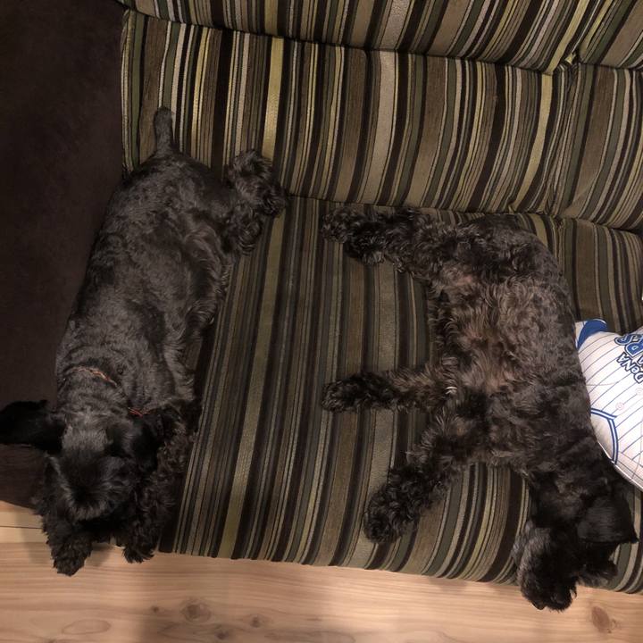 B24e199b b7ba 4fcb 8470 8544b083dd23 1564057827948