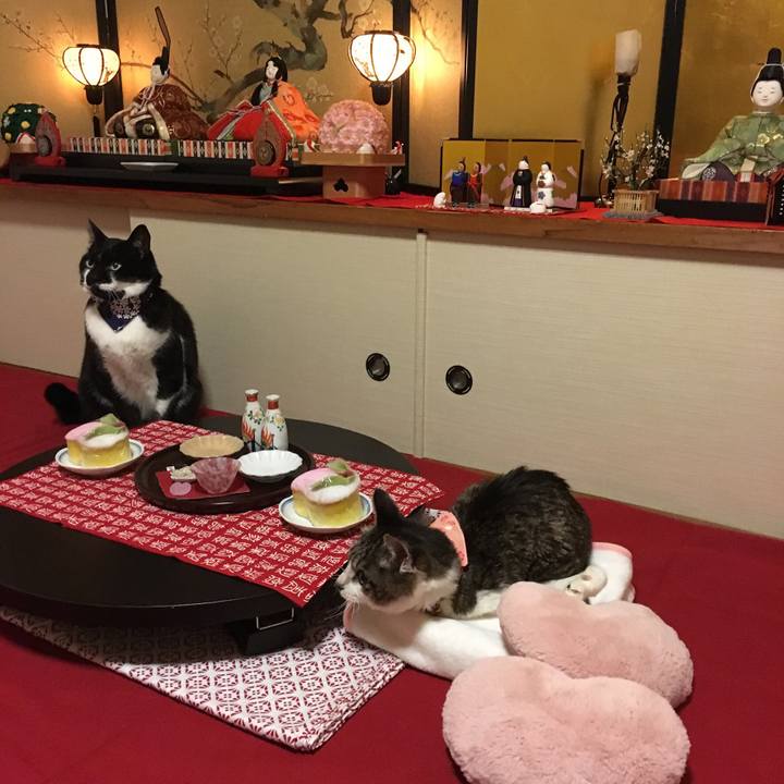 B24e27f9 efa2 407a bafa 6e79770d5967 1520062015119