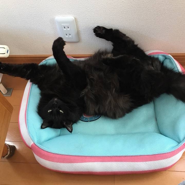 B24e3486 df05 490c 9c29 f44c315bb402 1513821136954