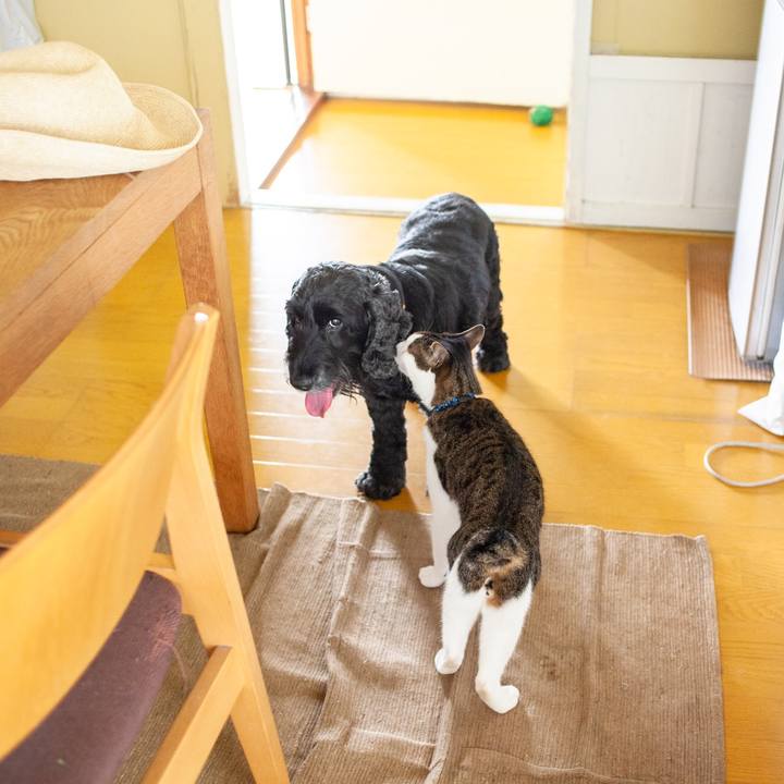 B24e4326 32bb 45bb acae 38efcd19a75d 1559619022160