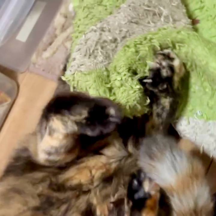 B24e99f8 9034 40c1 9011 906c5eea6872 1766606879607