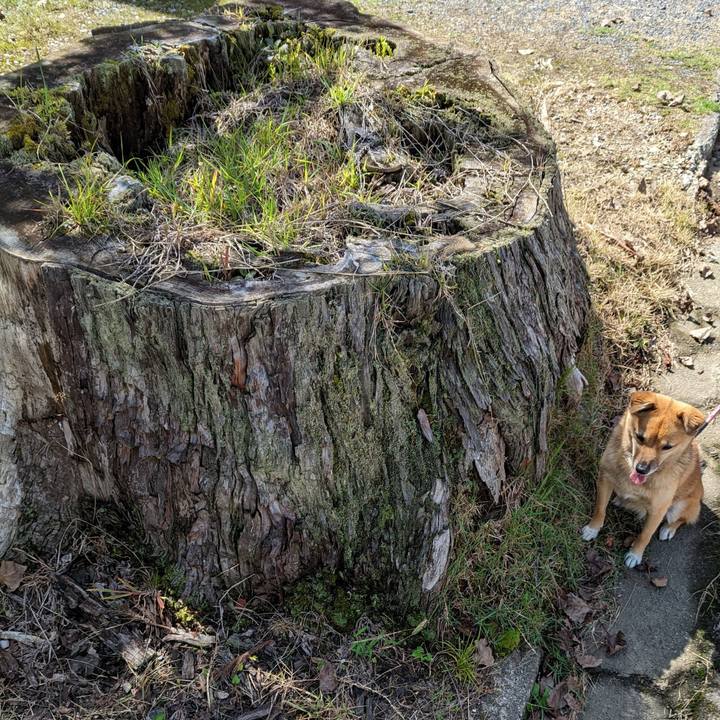 B24ed26c cc3d 4517 a3cb 86dfa4fbb42e 1664108306806