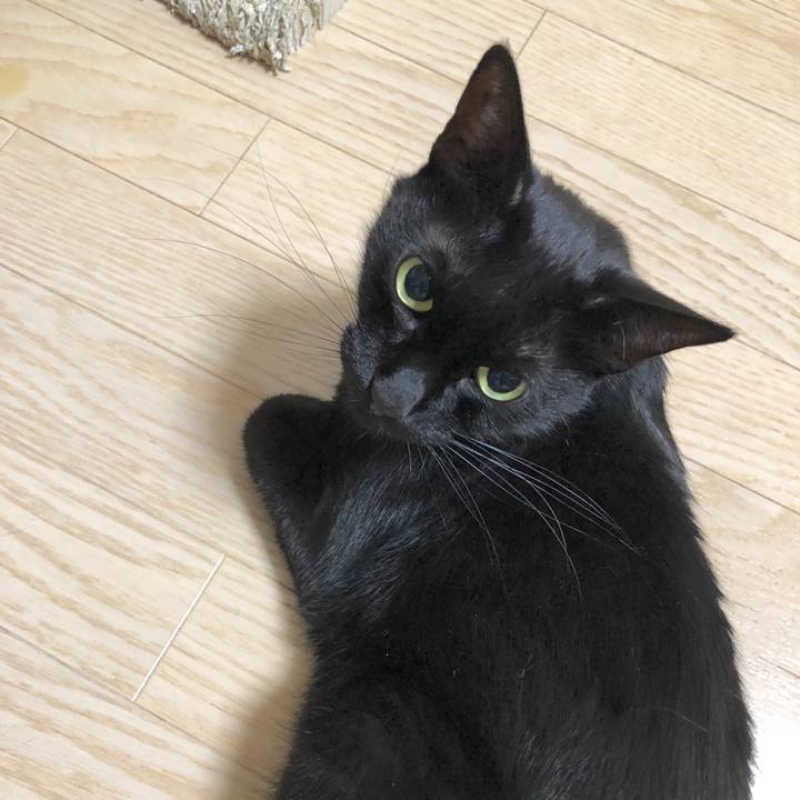 B24ed772 7955 4d17 9ce9 3516bafe69a0 1596112847828