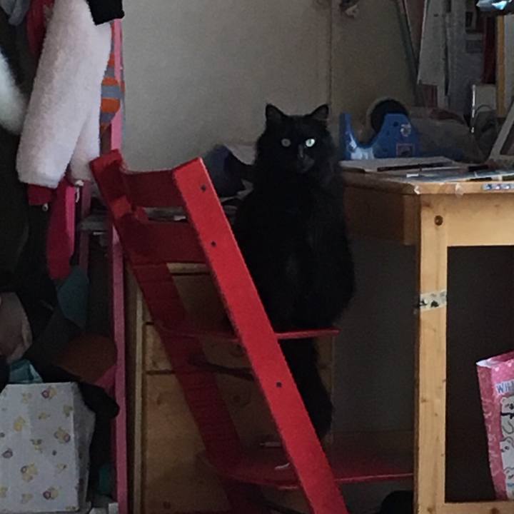 B24f036e 7c67 4cf0 b8fb 2133f8fe8907 1558102329983