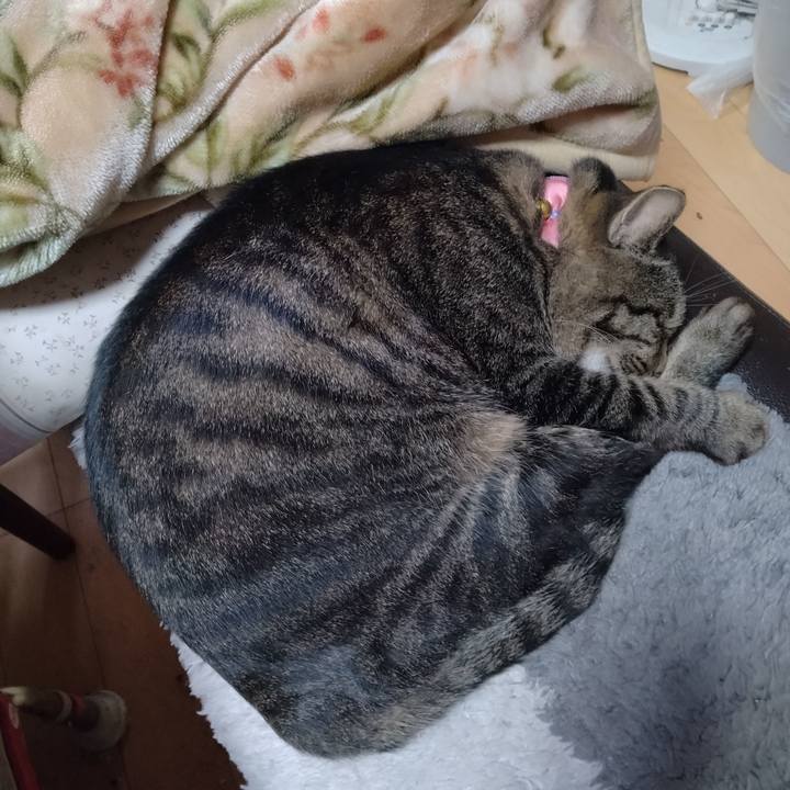 B24f321d 7808 410e ae86 b659eaf2e319 1667445987172