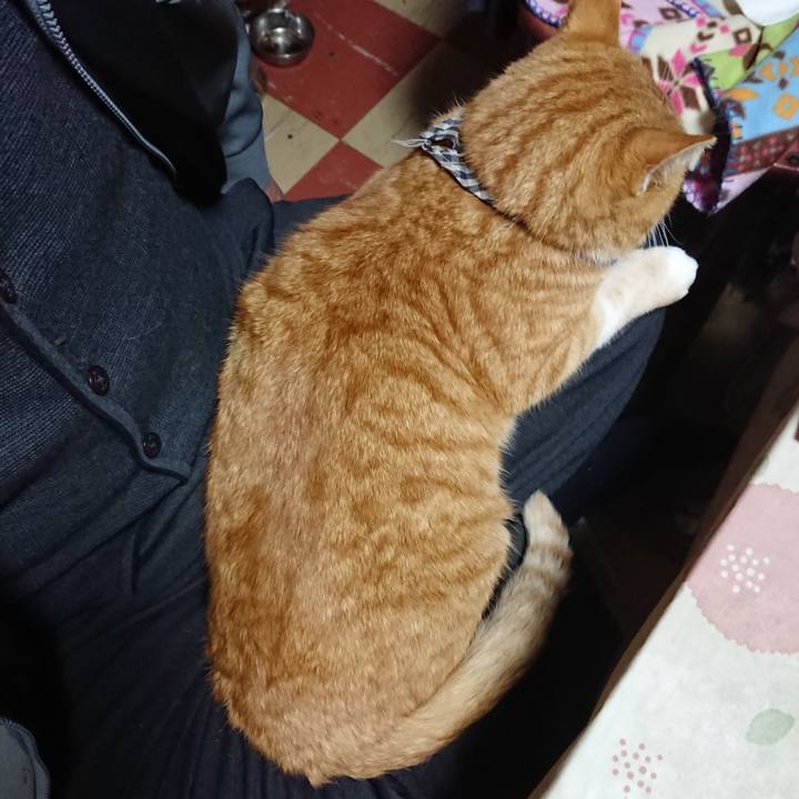 B24f3b04 052c 4683 870a 167177050f90 1575516901568