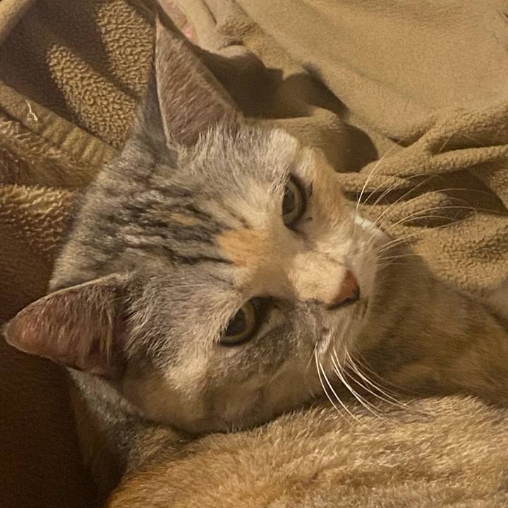 B24f3dc6 190e 486a 8798 472d317a9caa 1731938765653