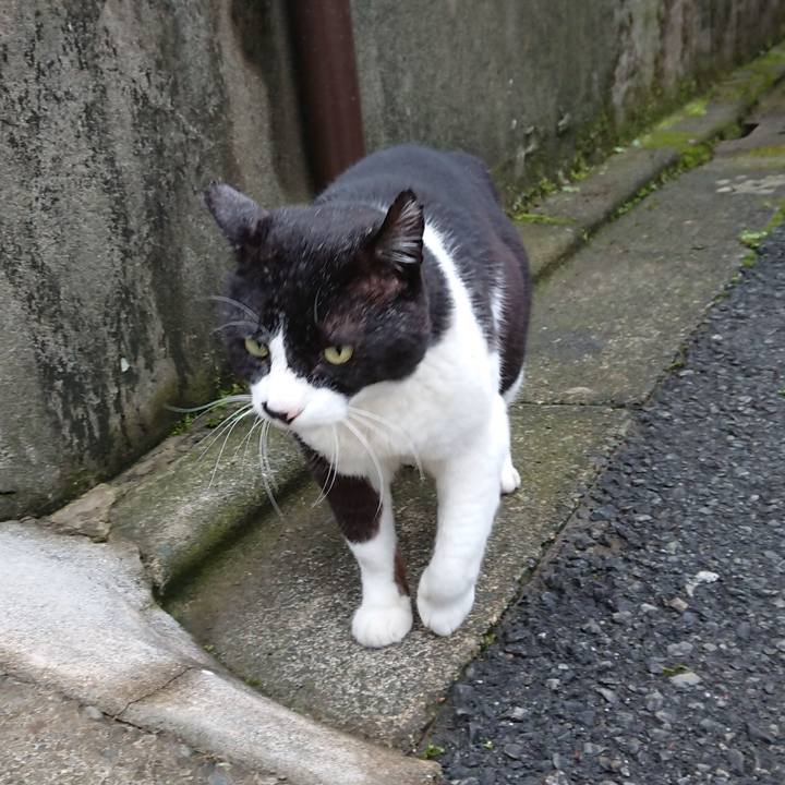 B24f688a 50f8 4c7b a974 ac45bed4719f 1590191378709