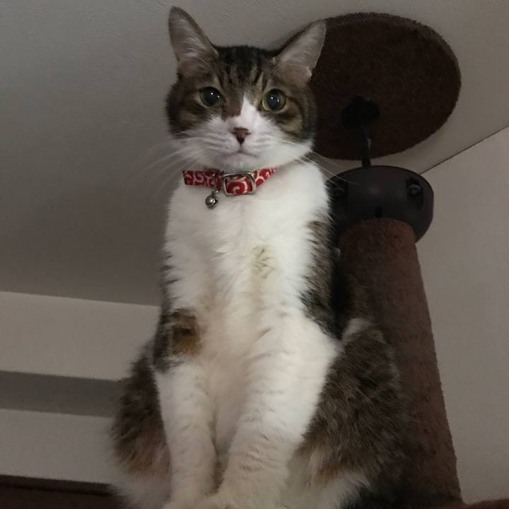 B24f6c5d 5096 4701 bce8 92e2e25ecdc2 1558067281977