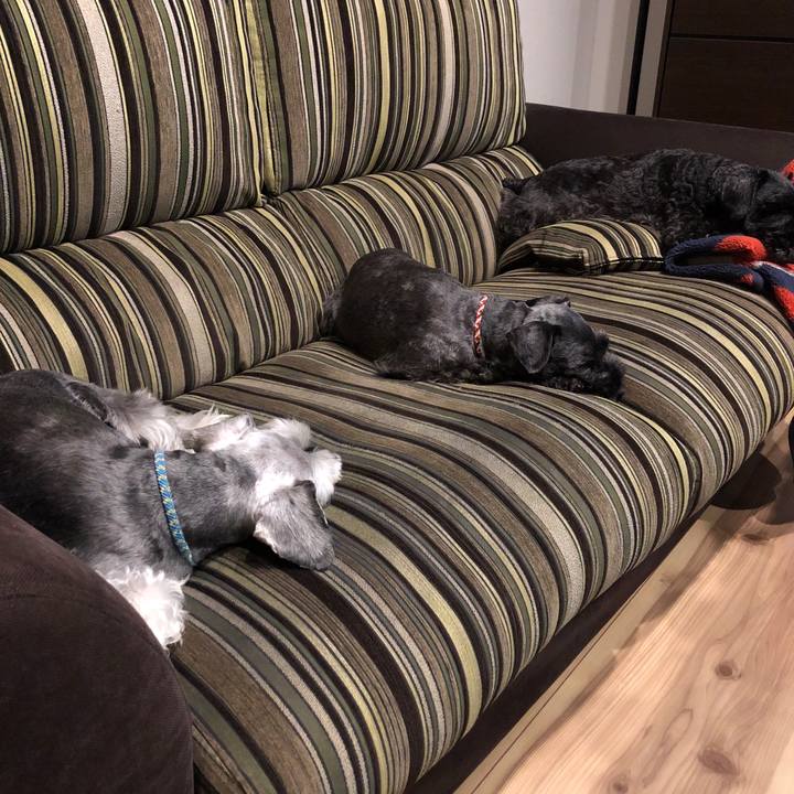 B24f7376 1e6f 449b ba70 8af2d8c8a5fe 1525250919376