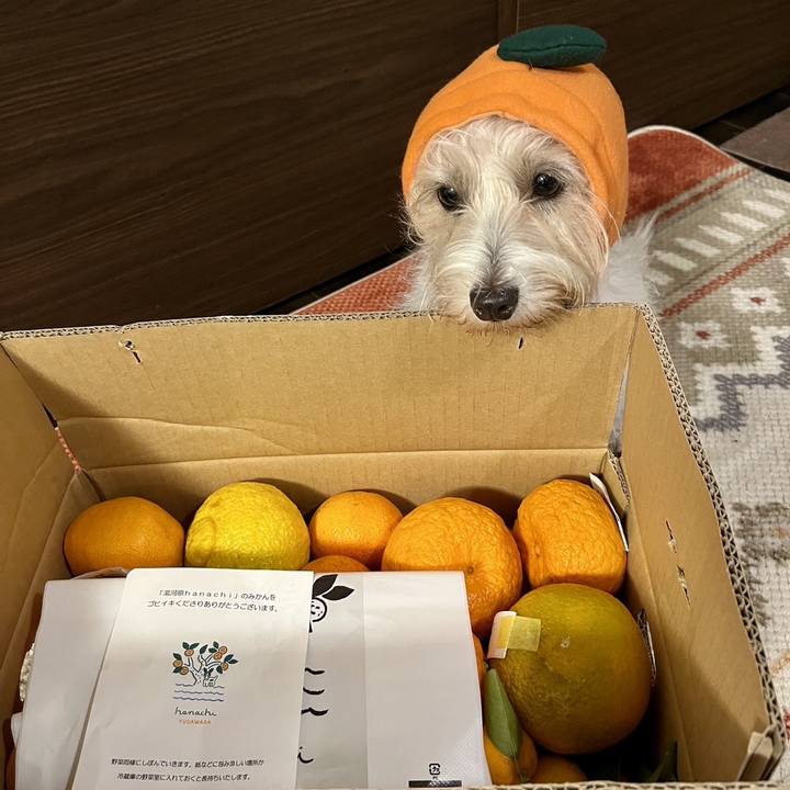 B24f8560 39f2 4e03 be61 9550c395f7f3 1768386413062