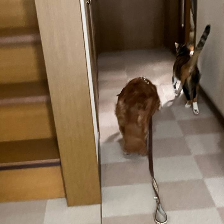 B24f8b05 bb0b 4f7b a3e5 a93b8912715f 1745109071558