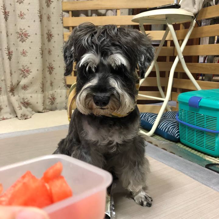 B24fe481 3490 4520 967b 0ce1c1b69d0d 1628164843783