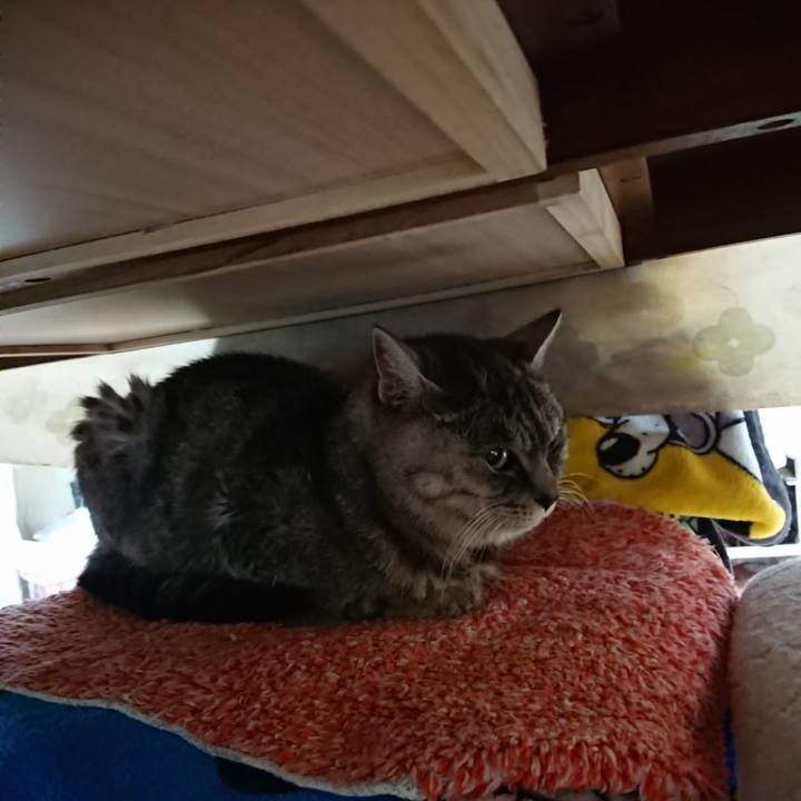 B24ff3a2 c6ae 4163 86d7 cd44afe153c9 1573598212564