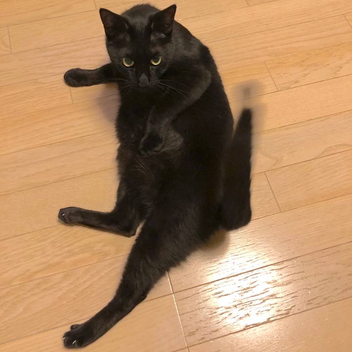 B24ff8c3 ebcd 4bb1 ac28 fd53f17095e1 1522414035524