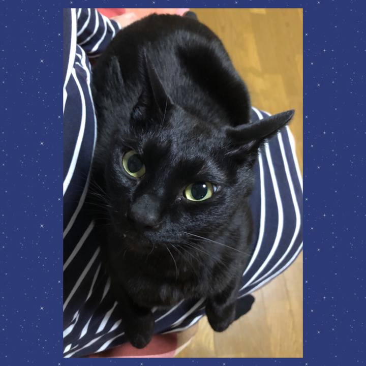 B2500ae3 e8b5 4a13 a533 d572bfc92348 1710597010135