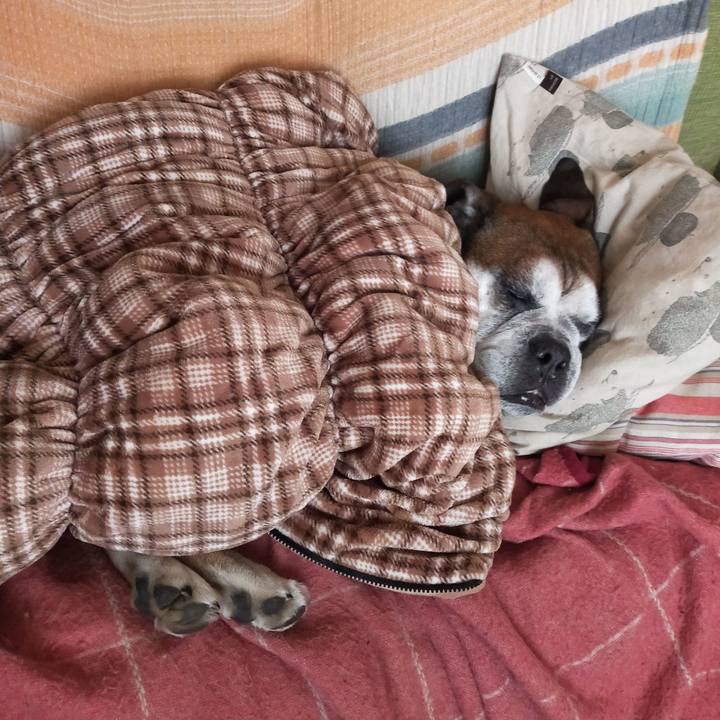 B25039c1 3ffb 45e8 8935 11492209e7e1 1646568120037