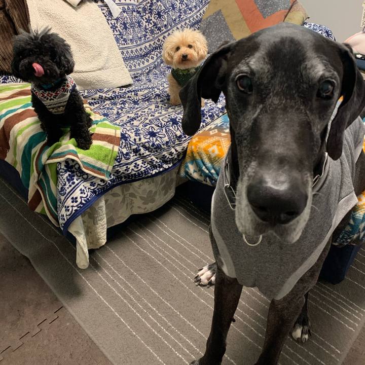 B250429e 04b7 44cc af52 49d3a0733b91 1583793793728