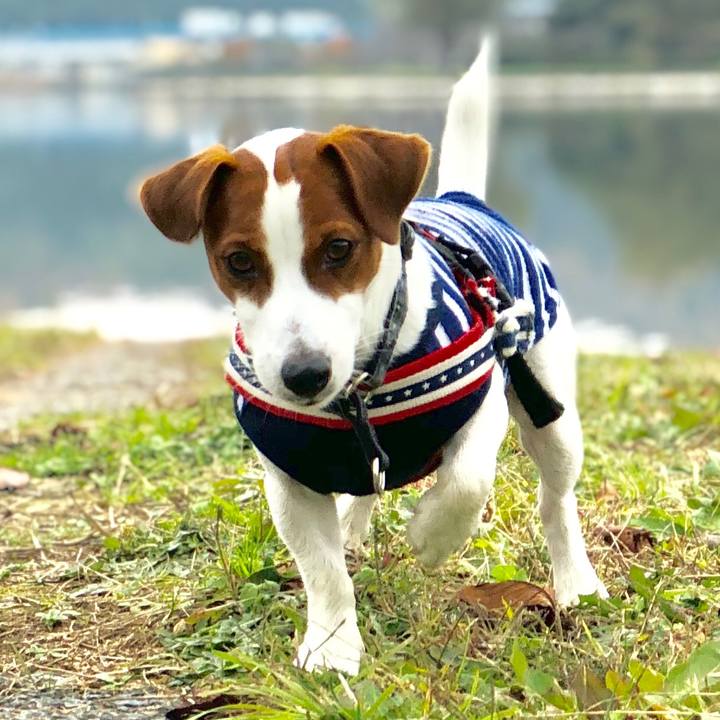 B2505900 8adf 4e07 b05a 7d1c77850c5e 1543377858055