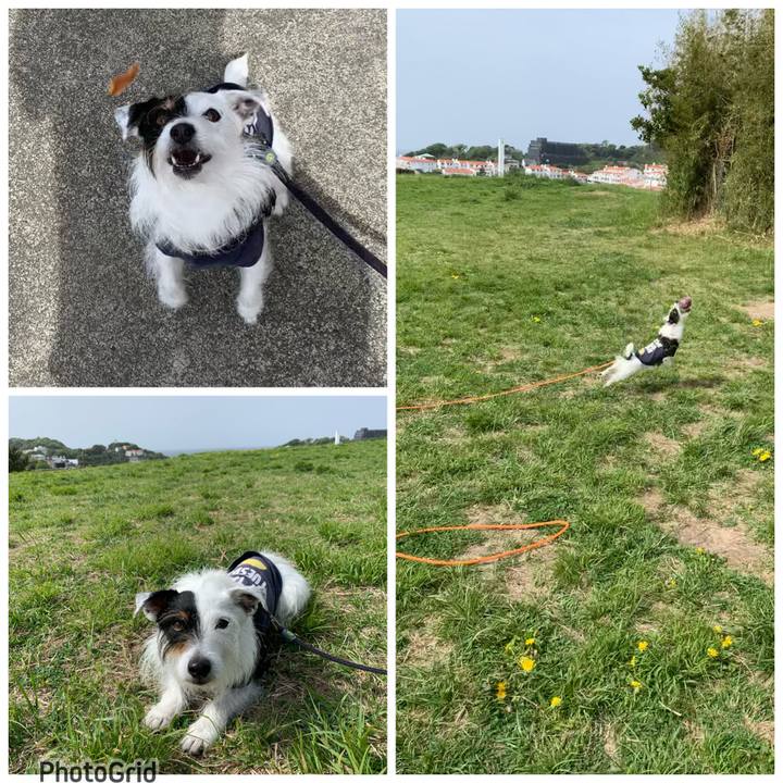 B250a79a c7e2 49c9 a3c7 90422fe49605 1681433278713