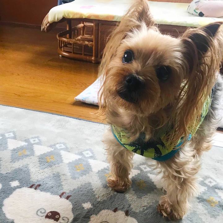 B2510148 22f5 487a 9cb8 f131b7f8f1ef 1556693719435