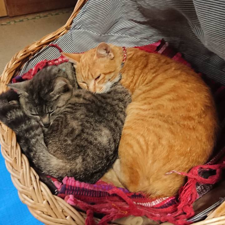 B25113bf 70bc 4c25 b778 1384939b303d 1560575468822