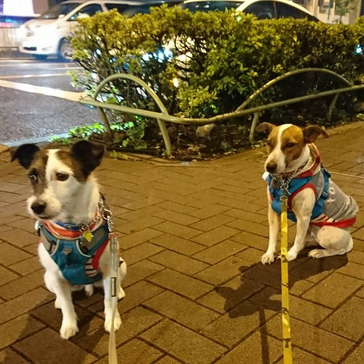 B2512743 e96b 446a 98d7 f5d70a44b252 1571312190777