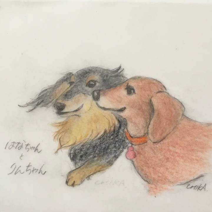 B2512acf c7b8 49f8 9794 eb96ae45f79a 1568266439638