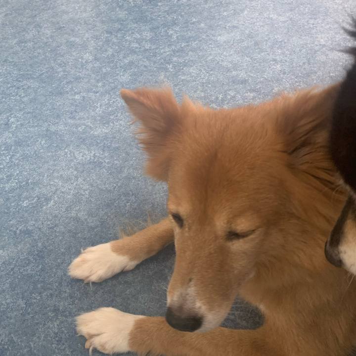 B2517c94 2ee6 4935 89d1 39a075037a0d 1694328565260