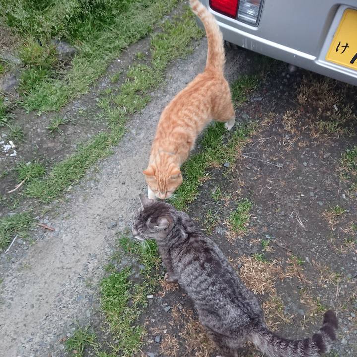 B2517dd2 ab9f 475e b008 19b479d0f705 1556702298956