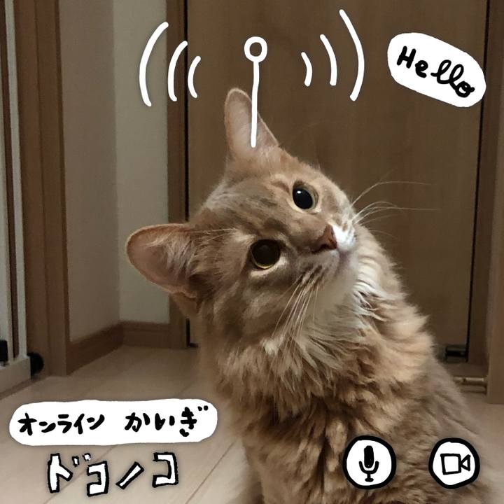 B251824f a7cc 4f61 81e4 8f78edfb3e97 1591053775730