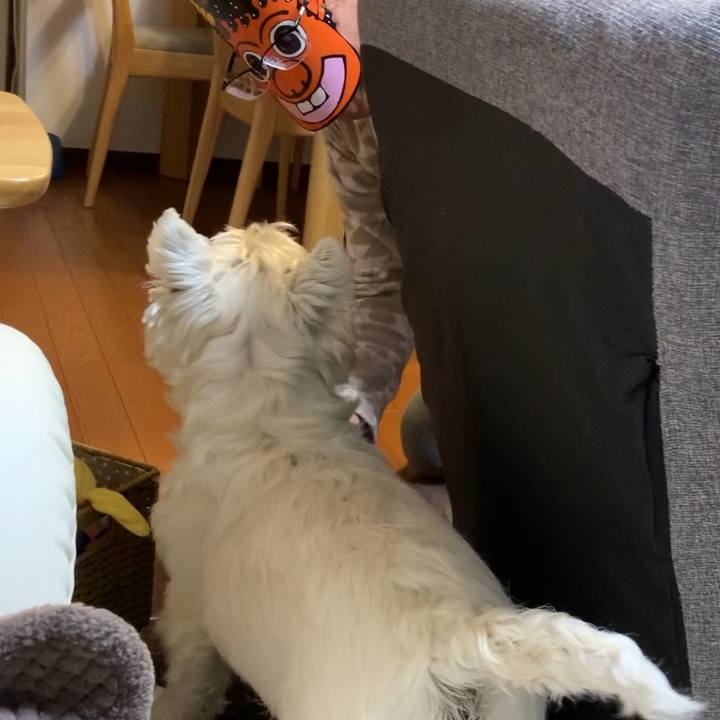 B25188fb 5737 48f9 800a 712c098cea3e 1580737967040