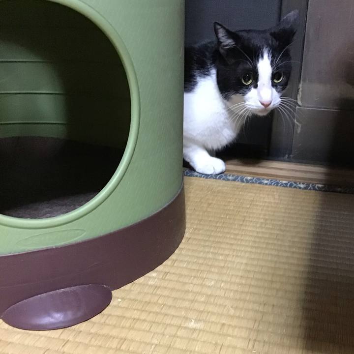 B25189e0 97ca 4296 a428 3cd580c41055 1755517007251