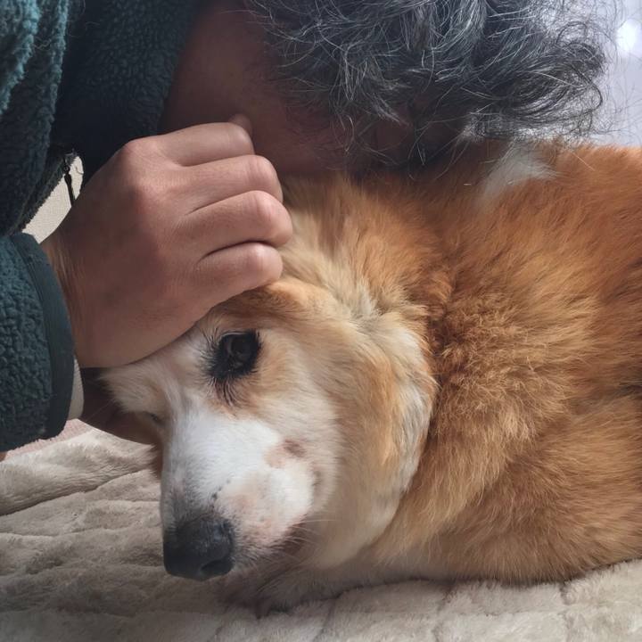 B251b2ff 29b9 43d4 986c 006269a6fb67 1642120234223