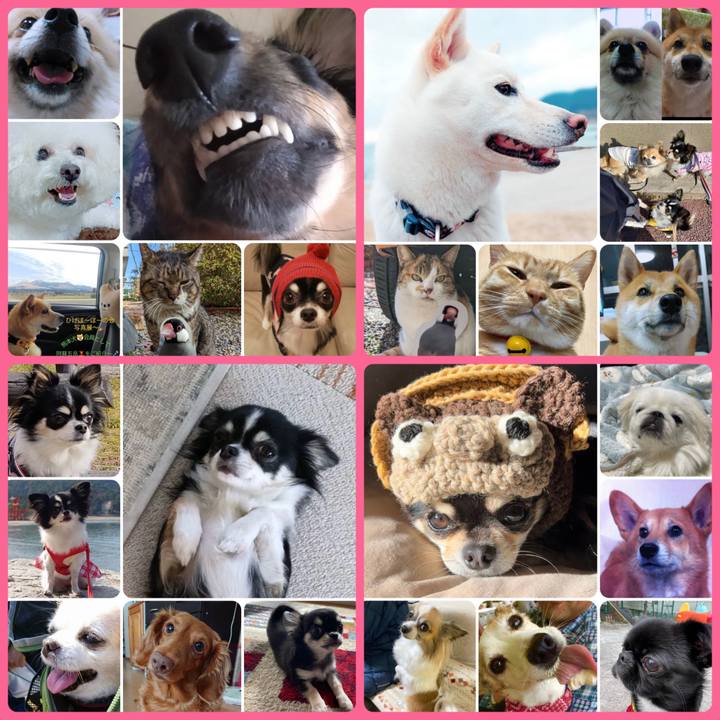 B2524ae7 430c 4efb 916d 33a9c525974d 1676758739336