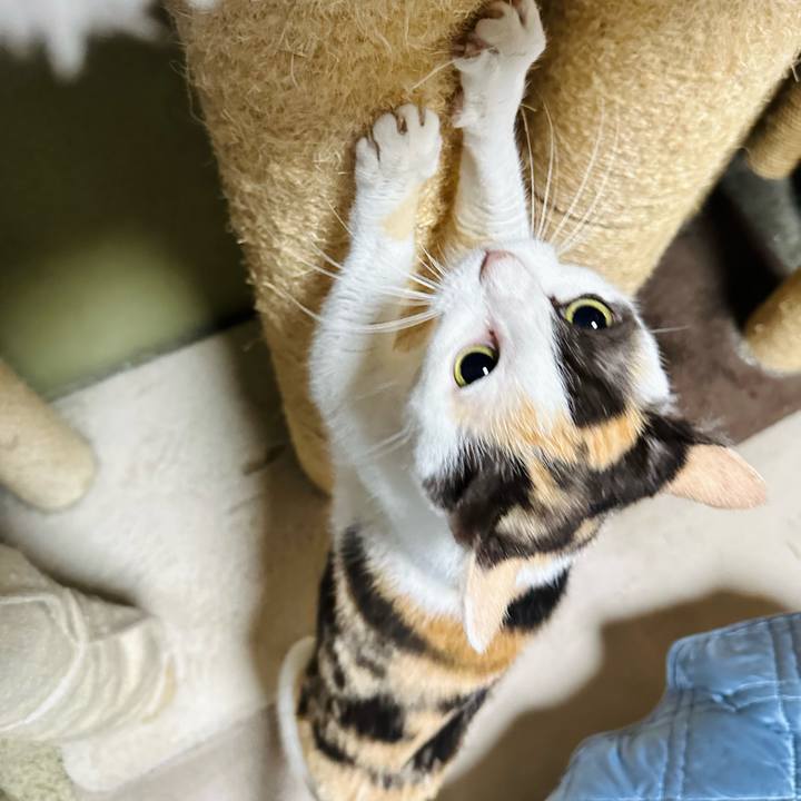 B2524e3a a40b 4118 8678 f3791f7f38a9 1693362896880