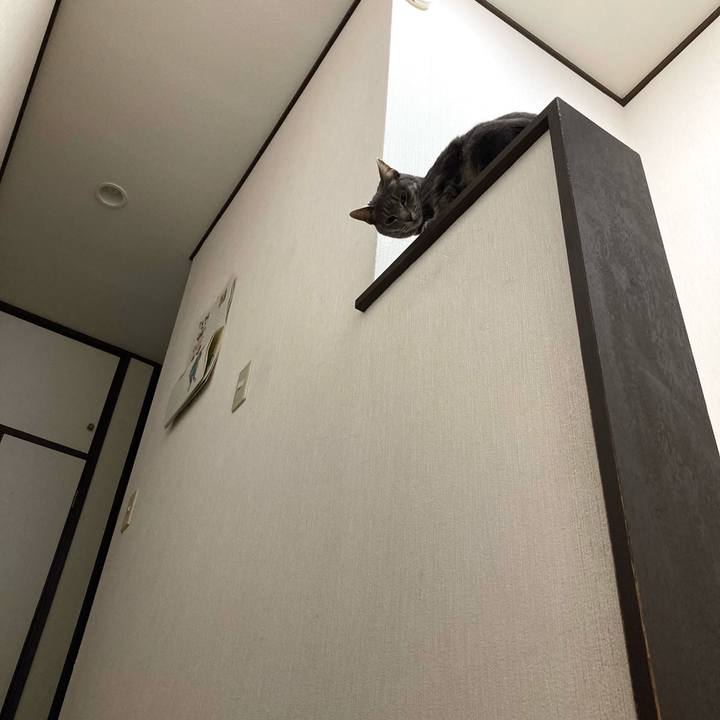 B2526013 439c 45d7 86a7 1a502a387942 1647179421970