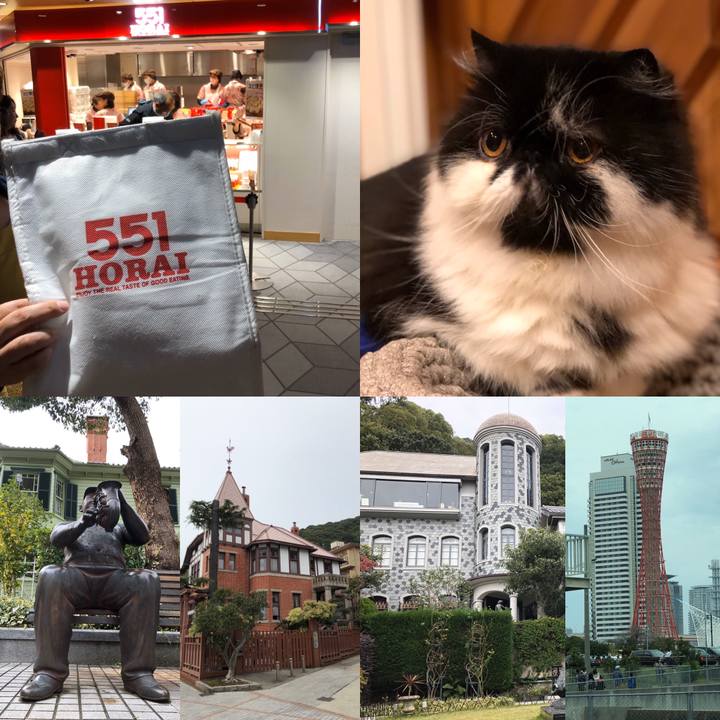 B25266f5 deb2 4259 866b 3175f9817bff 1572791478731