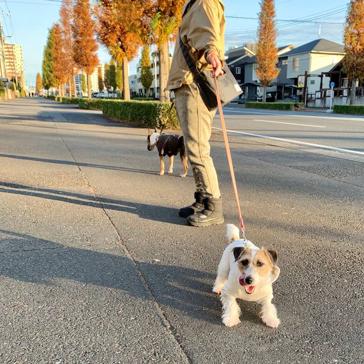 B2526db8 2c84 4fd8 bc44 0b2c1b064384 1607250182409