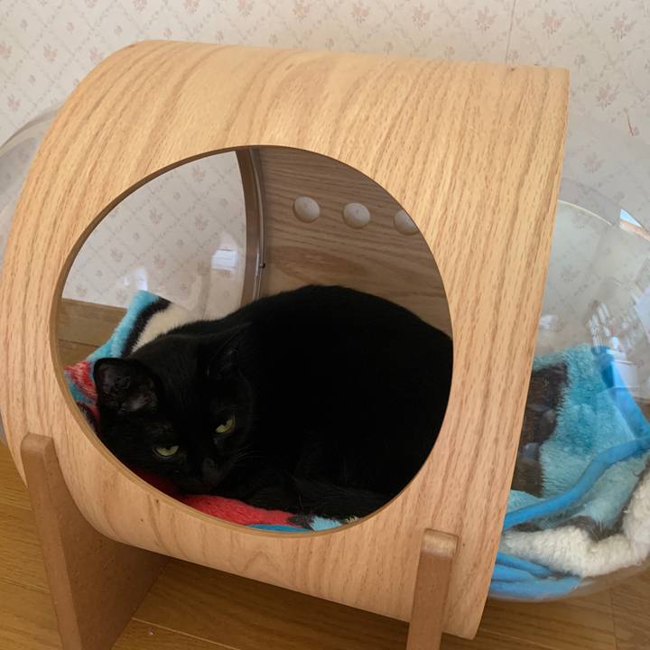 B252803f 67a0 4973 a5de 0d6234e62af9 1651365334963