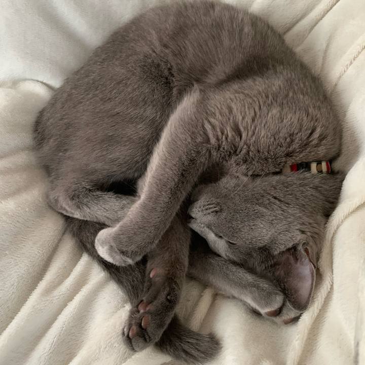 B252a691 5e40 4d6f b98b bf2a5d0bd4a9 1668298421892