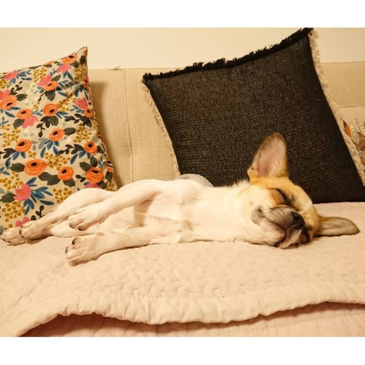 B252de12 b0db 45c3 b6e3 cc7c0bf08390 1566896216897