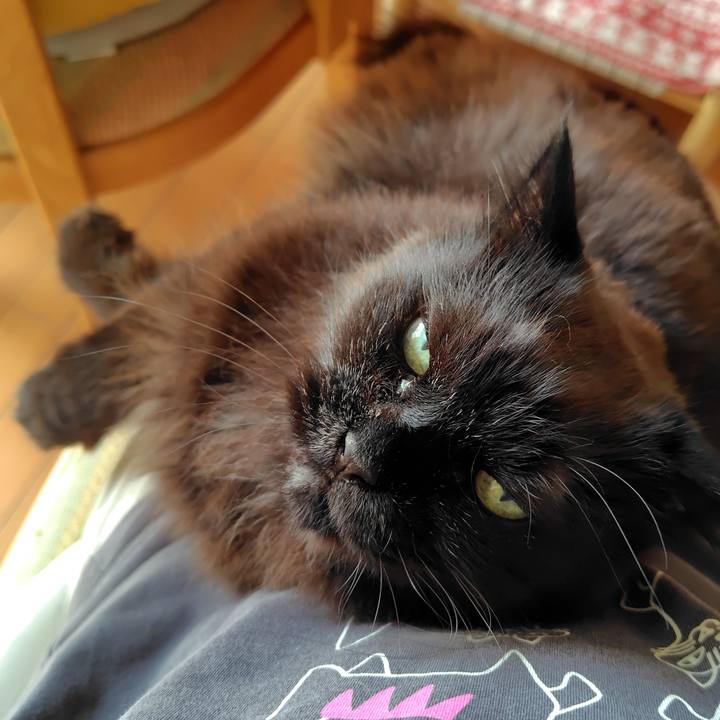 B252e8aa ccdf 4e64 aa69 e60e6dfcf5e4 1747541387295